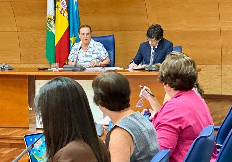 Fuengirola calls on government to strengthen resources in the fight against organised crime on the Costa del Sol